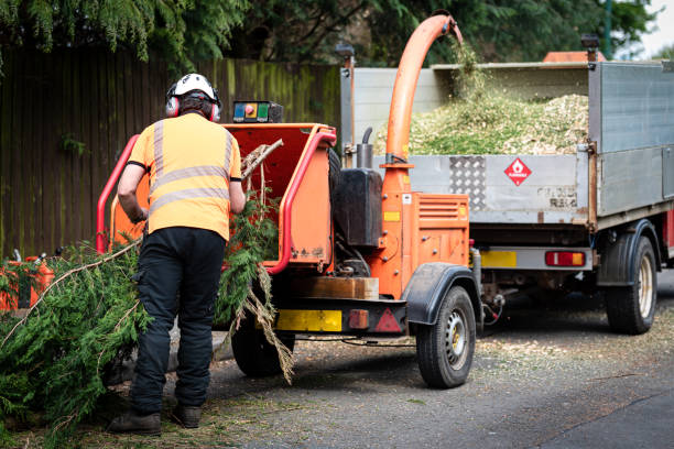 Best Lawn Fertilization  in Marengo, IL