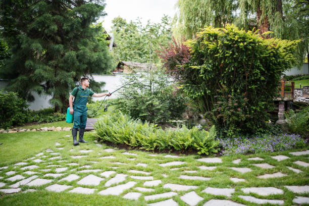 Best Stump Grinding and Removal  in Marengo, IL